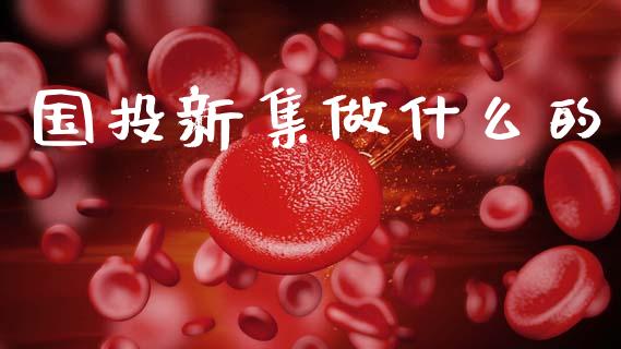 国投新集做什么的_https://wap.sdyuehang.cn_债券资讯_第1张