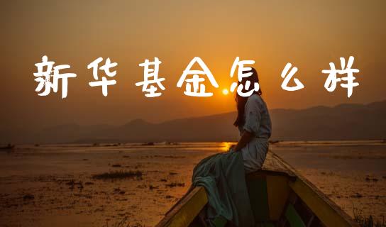 新华基金怎么样_https://wap.sdyuehang.cn_产经新闻_第1张