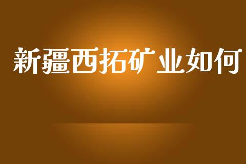 新疆西拓矿业如何_https://wap.sdyuehang.cn_新股申购_第1张