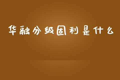 华融分级固利是什么_https://wap.sdyuehang.cn_新股申购_第1张