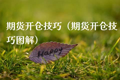 期货开仓技巧（期货开仓技巧图解）_https://wap.sdyuehang.cn_美股行情_第1张
