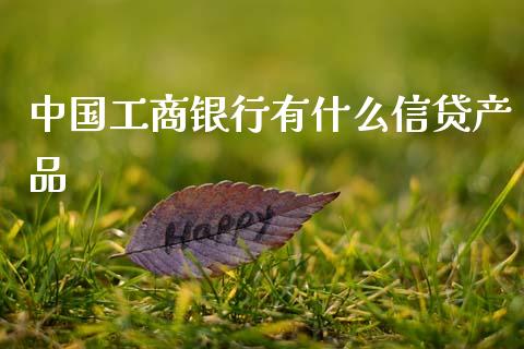中国工商银行有什么信贷产品_https://wap.sdyuehang.cn_产经新闻_第1张