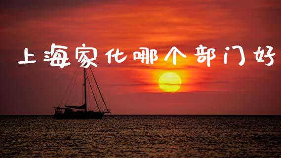 上海家化哪个部门好_https://wap.sdyuehang.cn_新股申购_第1张