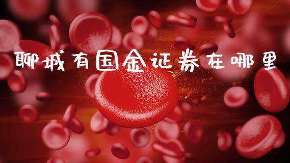 聊城有国金证券在哪里_https://wap.sdyuehang.cn_债券资讯_第1张