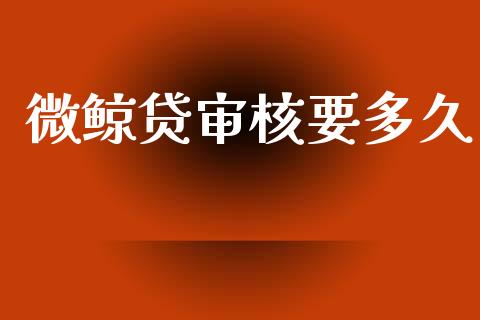 微鲸贷审核要多久_https://wap.sdyuehang.cn_债券资讯_第1张