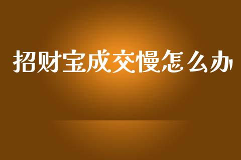 招财宝成交慢怎么办_https://wap.sdyuehang.cn_新股申购_第1张