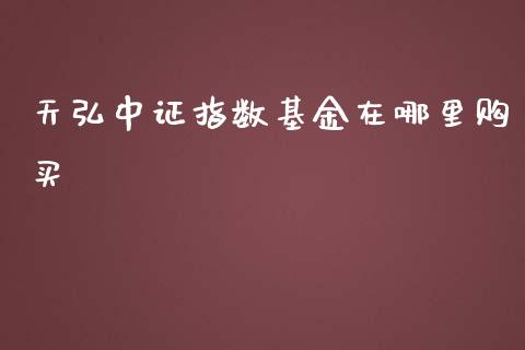 天弘中证指数基金在哪里购买_https://wap.sdyuehang.cn_产经新闻_第1张