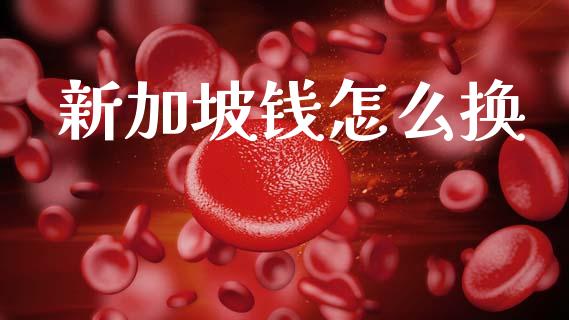 新加坡钱怎么换_https://wap.sdyuehang.cn_债券资讯_第1张