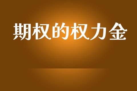 期权的权力金_https://wap.sdyuehang.cn_美股行情_第1张