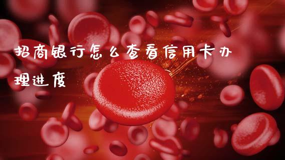 招商银行怎么查看信用卡办理进度_https://wap.sdyuehang.cn_债券资讯_第1张
