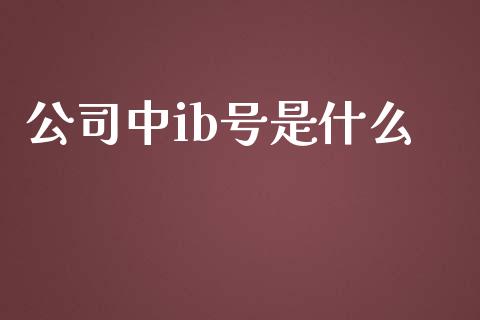 公司中ib号是什么_https://wap.sdyuehang.cn_产经新闻_第1张