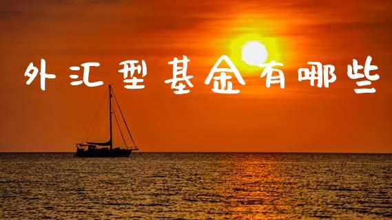 外汇型基金有哪些_https://wap.sdyuehang.cn_美股行情_第1张