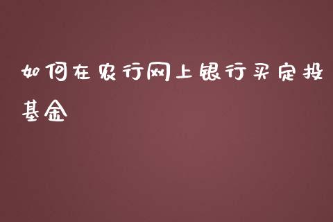 如何在农行网上银行买定投基金_https://wap.sdyuehang.cn_新股申购_第1张