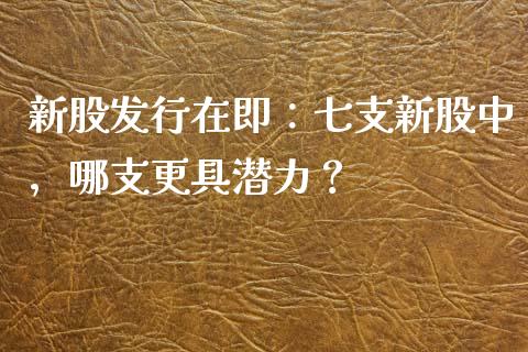 新股发行在即：七支新股中，哪支更具潜力？_https://wap.sdyuehang.cn_新股申购_第1张