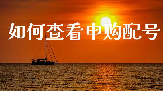 如何查看申购配号_https://wap.sdyuehang.cn_新股申购_第1张