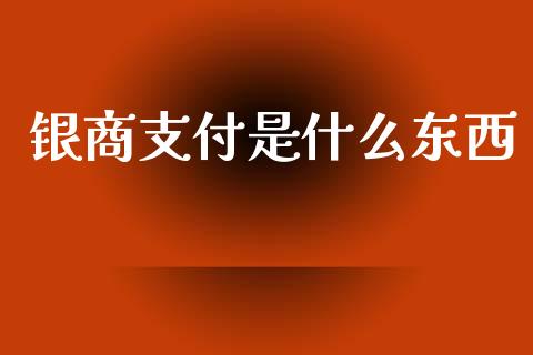 银商支付是什么东西_https://wap.sdyuehang.cn_新股申购_第1张
