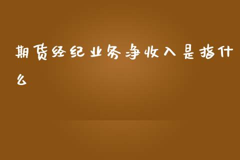 期货经纪业务净收入是指什么_https://wap.sdyuehang.cn_债券资讯_第1张