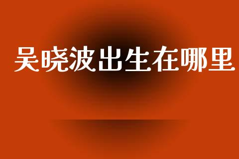 吴晓波出生在哪里_https://wap.sdyuehang.cn_产经新闻_第1张