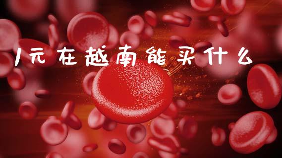 1元在越南能买什么_https://wap.sdyuehang.cn_债券资讯_第1张