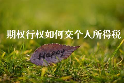 期权行权如何交个人所得税_https://wap.sdyuehang.cn_美股行情_第1张