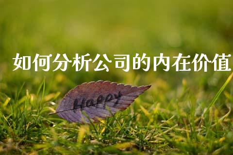 如何分析公司的内在价值_https://wap.sdyuehang.cn_新股申购_第1张