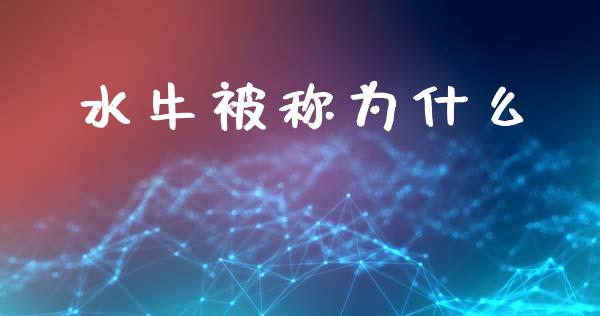 水牛被称为什么_https://wap.sdyuehang.cn_产经新闻_第1张