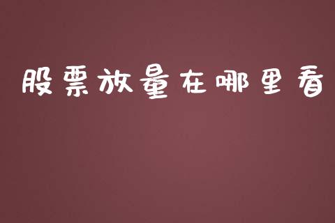 股票放量在哪里看_https://wap.sdyuehang.cn_债券资讯_第1张