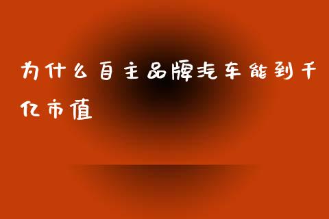 为什么自主品牌汽车能到千亿市值_https://wap.sdyuehang.cn_美股行情_第1张