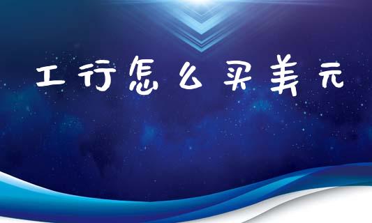 工行怎么买美元_https://wap.sdyuehang.cn_新股申购_第1张