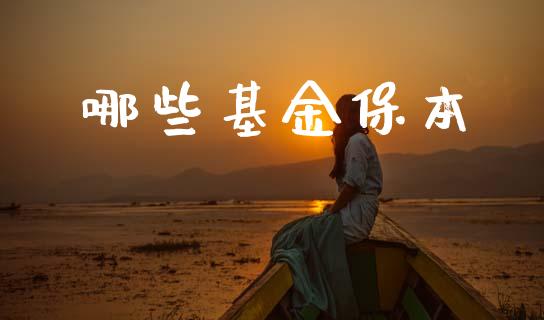 哪些基金保本_https://wap.sdyuehang.cn_债券资讯_第1张