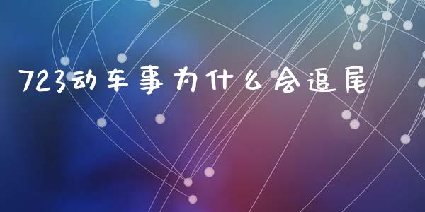 723动车事为什么会追尾_https://wap.sdyuehang.cn_新股申购_第1张