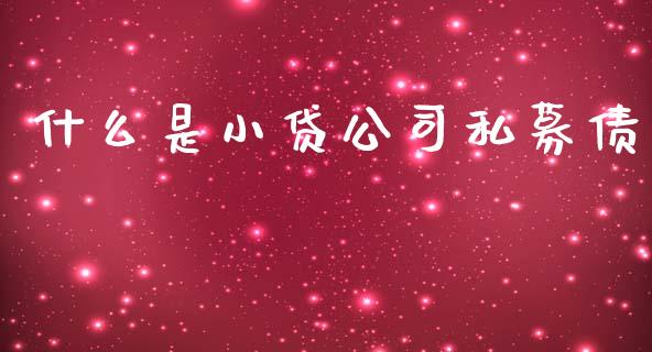 什么是小贷公司私募债_https://wap.sdyuehang.cn_产经新闻_第1张