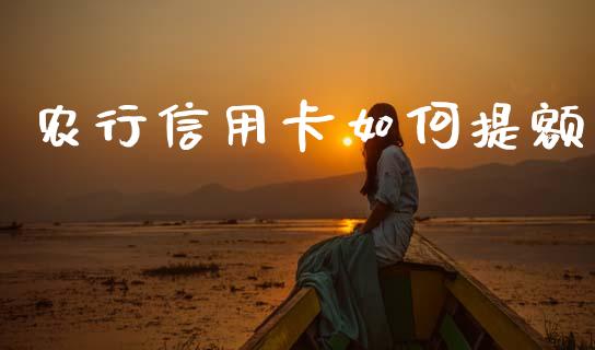 农行信用卡如何提额_https://wap.sdyuehang.cn_美股行情_第1张