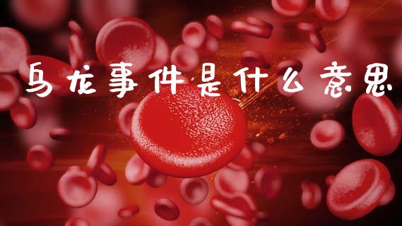乌龙事件是什么意思_https://wap.sdyuehang.cn_产经新闻_第1张