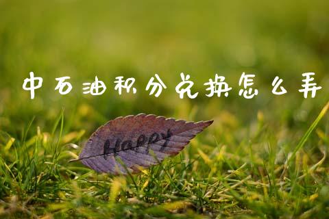 中石油积分兑换怎么弄_https://wap.sdyuehang.cn_债券资讯_第1张