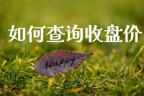 如何查询收盘价_https://wap.sdyuehang.cn_产经新闻_第1张