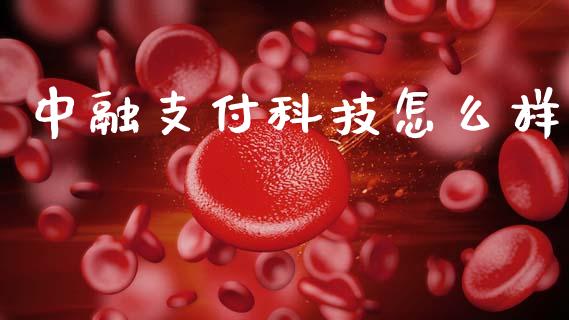 中融支付科技怎么样_https://wap.sdyuehang.cn_美股行情_第1张