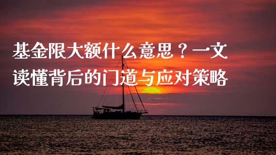 基金限大额什么意思？一文读懂背后的门道与应对策略_https://wap.sdyuehang.cn_新股申购_第1张