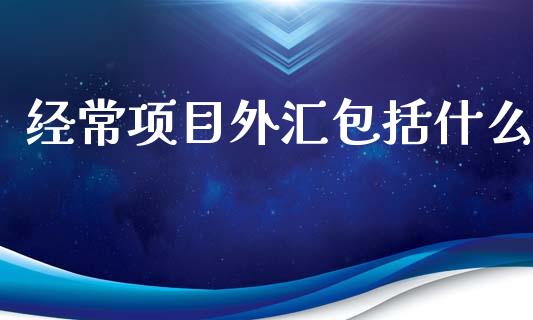 经常项目外汇包括什么_https://wap.sdyuehang.cn_债券资讯_第1张