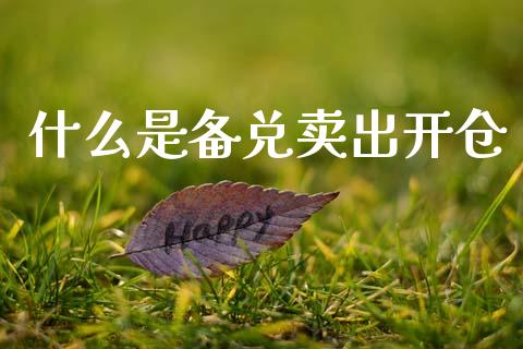 什么是备兑卖出开仓_https://wap.sdyuehang.cn_美股行情_第1张