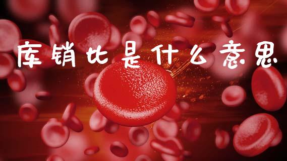 库销比是什么意思_https://wap.sdyuehang.cn_产经新闻_第1张