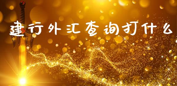 建行外汇查询打什么_https://wap.sdyuehang.cn_债券资讯_第1张