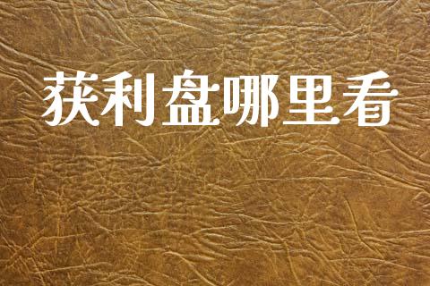 获利盘哪里看_https://wap.sdyuehang.cn_产经新闻_第1张