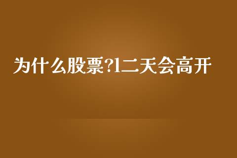 为什么股票?l二天会高开_https://wap.sdyuehang.cn_新股申购_第1张