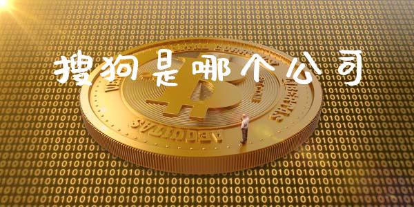 搜狗是哪个公司_https://wap.sdyuehang.cn_美股行情_第1张