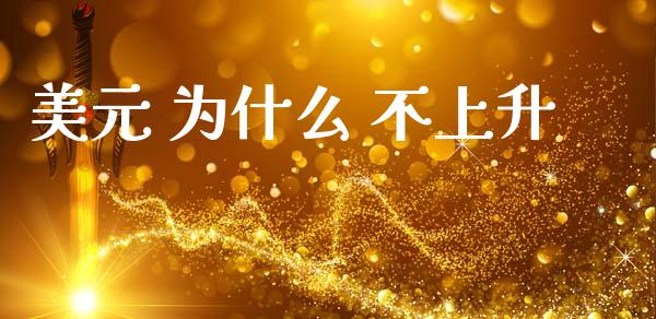 美元 为什么 不上升_https://wap.sdyuehang.cn_产经新闻_第1张