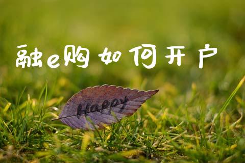 融e购如何开户_https://wap.sdyuehang.cn_新股申购_第1张