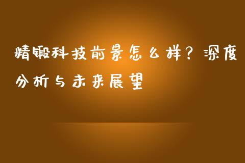精锻科技前景怎么样？深度分析与未来展望_https://wap.sdyuehang.cn_美股行情_第1张