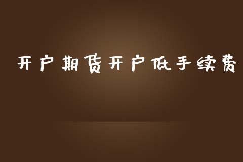 开户期货开户低手续费_https://wap.sdyuehang.cn_新股申购_第1张