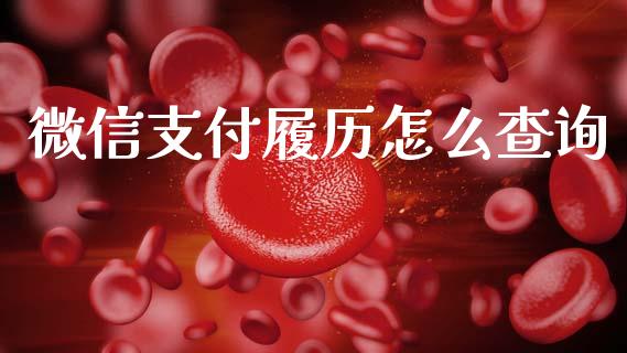 微信支付履历怎么查询_https://wap.sdyuehang.cn_债券资讯_第1张